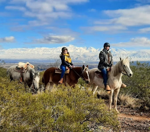 Los Pingos Horse Riding - Cabalgatas Mendoza
