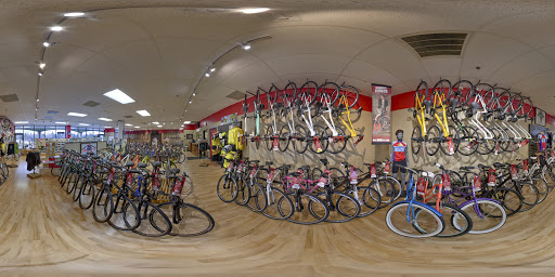 Bicycle Store «M & M Cyclery», reviews and photos, 734 Butterfield Rd, Mundelein, IL 60060, USA