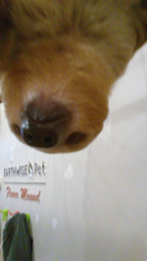 Pet Supply Store «EarthWise Pet Supply - Flower Mound», reviews and photos, 2311 Cross Timbers Rd #307, Flower Mound, TX 75028, USA