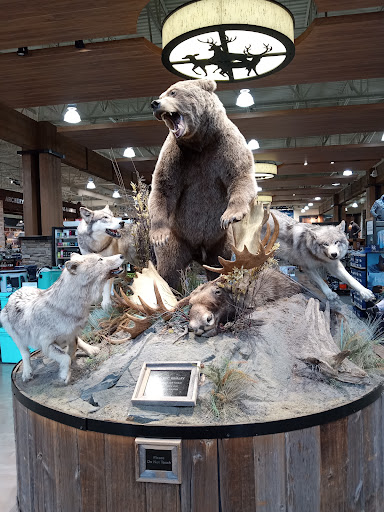 Outdoor Sports Store «Field & Stream», reviews and photos, 520 Clock Tower Way, Crescent Springs, KY 41017, USA