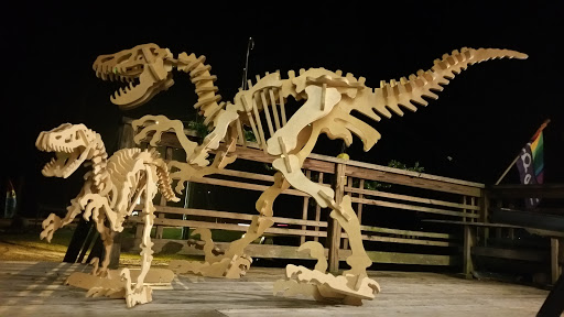 Toy Store «The Nature And Discovery Store,Inc.», reviews and photos, 19 Hughes St, New Ringgold, PA 17960, USA