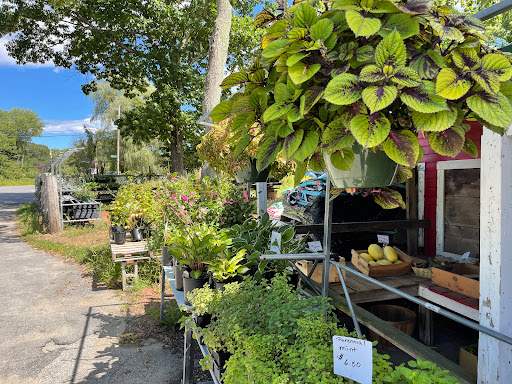 Produce Market «Smith Farm», reviews and photos, 131 Kimball Hill Rd, Hudson, NH 03051, USA