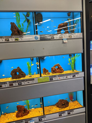 Pet Supply Store «Petco Animal Supplies», reviews and photos, 16710 Royalton Rd, Strongsville, OH 44136, USA