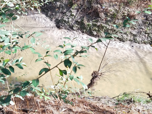 Book Store «Lone Star College Kingwood Bookstore», reviews and photos, 20000 Kingwood Dr, Kingwood, TX 77339, USA