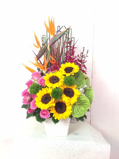 Top 20 chuyên preview cửa hàng Thành phố Phan Thiết Bình Thuận 2022