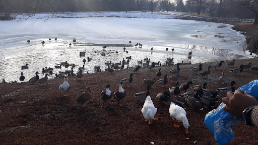 City Park «Krannert Park», reviews and photos, 605 South High School Road, Indianapolis, IN 46241, USA