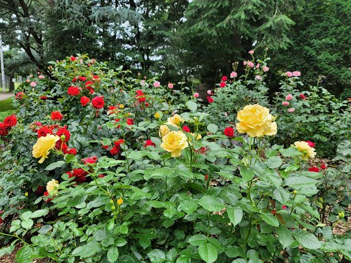 Park «Taylor Park», reviews and photos, 100 Main St, Millburn, NJ 07041, USA