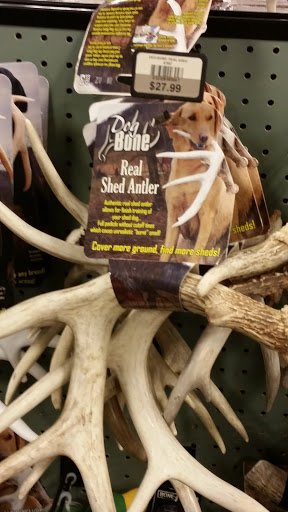 Outdoor Sports Store «Field & Stream», reviews and photos, 5215 Century Ave, Kalamazoo, MI 49006, USA