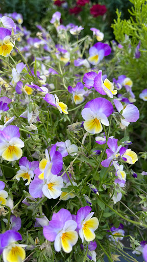 Home Improvement Store «The Home Depot», reviews and photos, 32525 Northwestern Hwy, Farmington Hills, MI 48334, USA