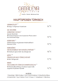 Restaurant turc Restaurant Cataleya Gondelsheim à Gondelsheim (le menu)