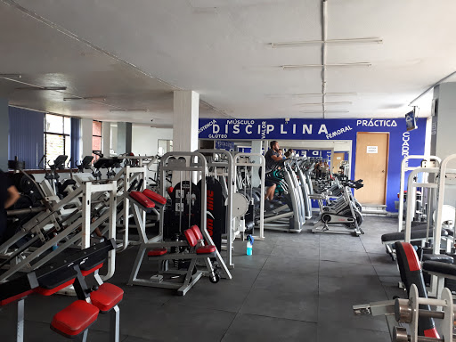 Morelos Gym