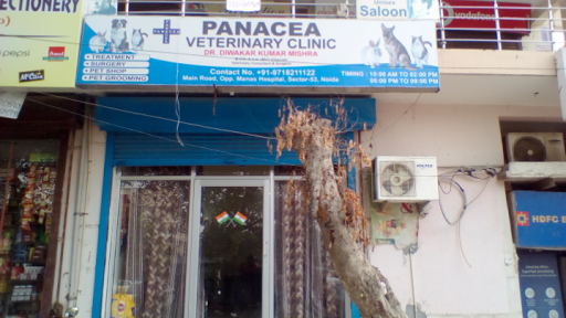 Panacea Veterinary Clinic: Best Pet Clinic in Noida
