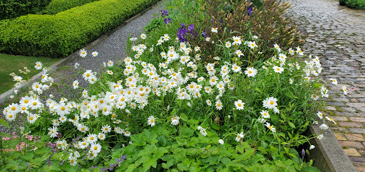 Grocery Store «Roche Harbor Grocery Store», reviews and photos, 248 Reuben Memorial Dr, Friday Harbor, WA 98250, USA