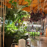 Photo n°1 de l'avis de Ido. fait le 23/11/2022 à 07:04 sur le  Doroti - Bistrot à Calcinaia