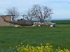 Sopwith Farms Logo, Sacramento, United States, Farm