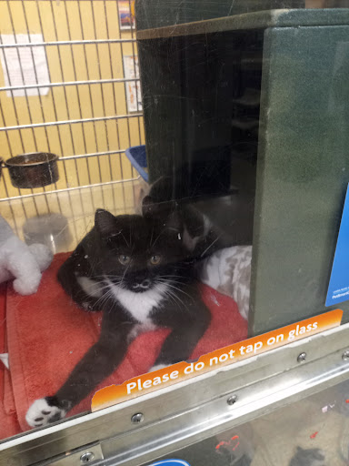 Home Improvement Store «The Home Depot», reviews and photos, 66 Mountain Rd, Glen Burnie, MD 21060, USA