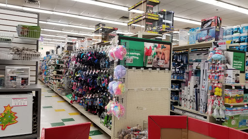 Pet Supply Store «Pet Supplies Plus», reviews and photos, 171 Sockanosset Cross Rd, Cranston, RI 02920, USA
