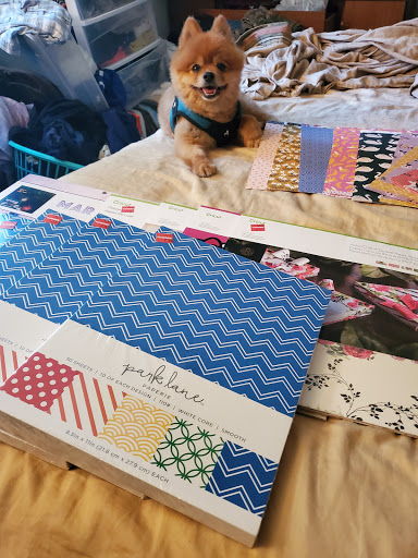 Fabric Store «Jo-Ann Fabrics and Crafts», reviews and photos, 3333 W Henrietta Rd Ste 90, Rochester, NY 14623, USA