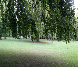 Marie-Luise-Pleißner Park photo