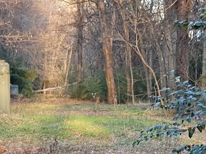 Bolin Creek - photo 46