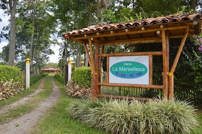 Photos of Finca La Marsellesa