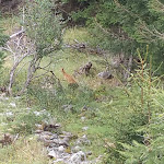 Photo n°3 de l'avis de Cino. fait le 27/08/2018 à 20:53 sur le  Hotel Restaurant Gallia à Stilfs