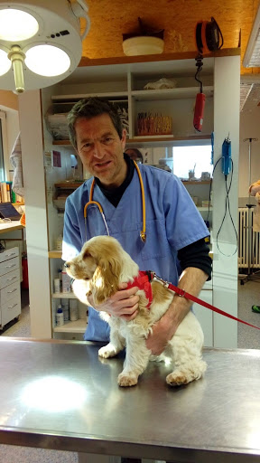 Veterinary practice Dr. Boris Woerner unter Mössingen, Baden Württemberg