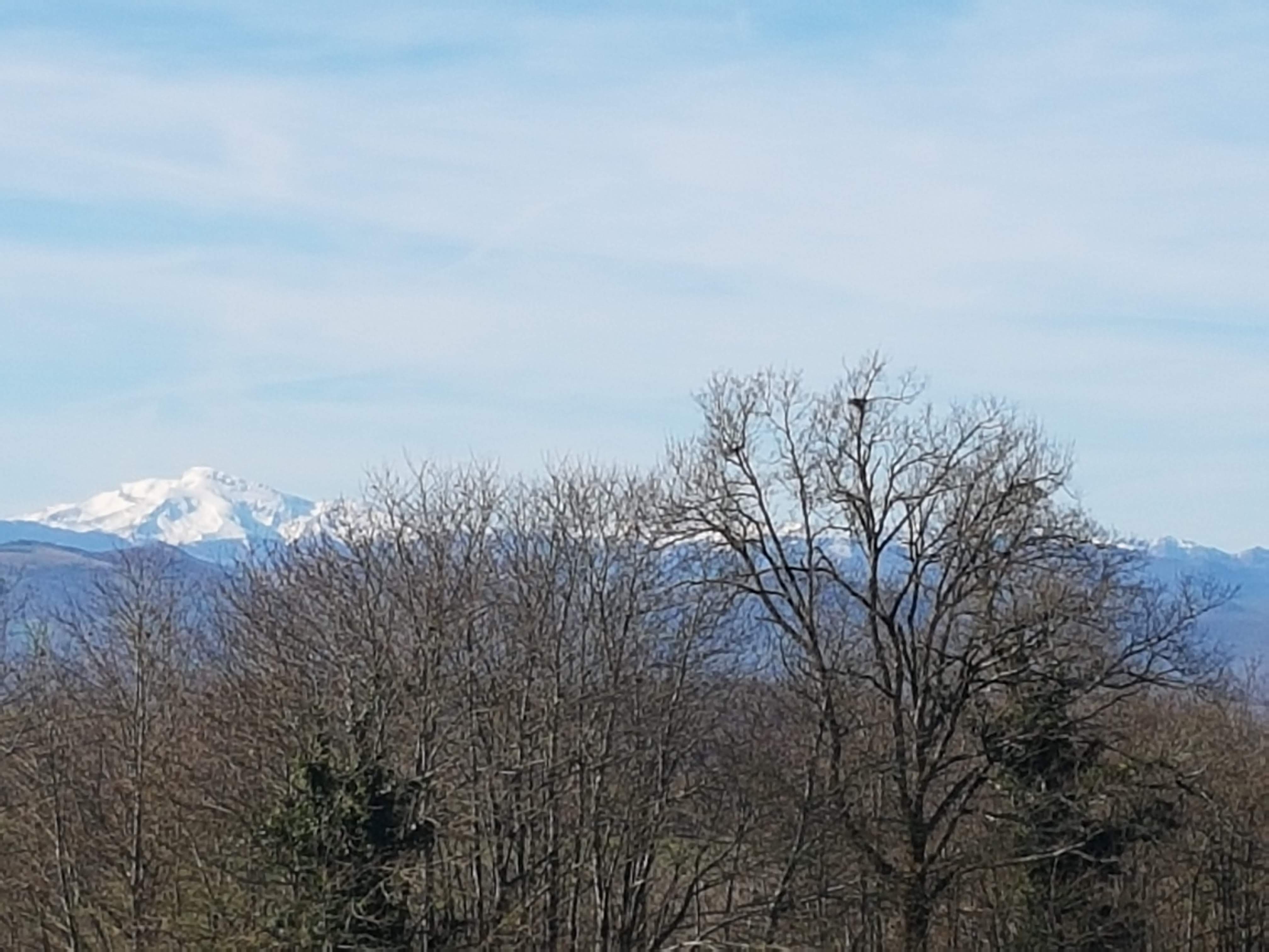 Photo n° 9 de l'avis de Christian.a fait le 03/05/2019 à 19:47