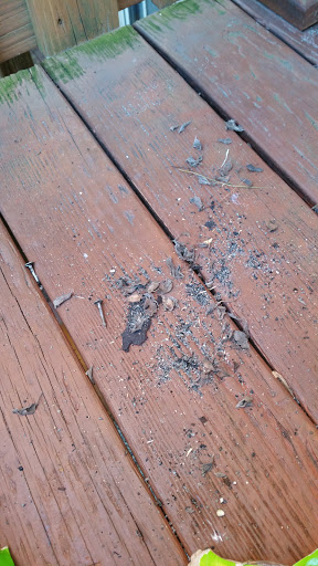 Roofing Contractor «DWM Roofing», reviews and photos, 518 Mabe Dr, Woodbine, MD 21797, USA