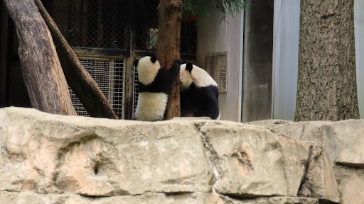 Tourist Attraction «Elephant Trails», reviews and photos, 3001 Connecticut Ave NW, Washington, DC 20008, USA