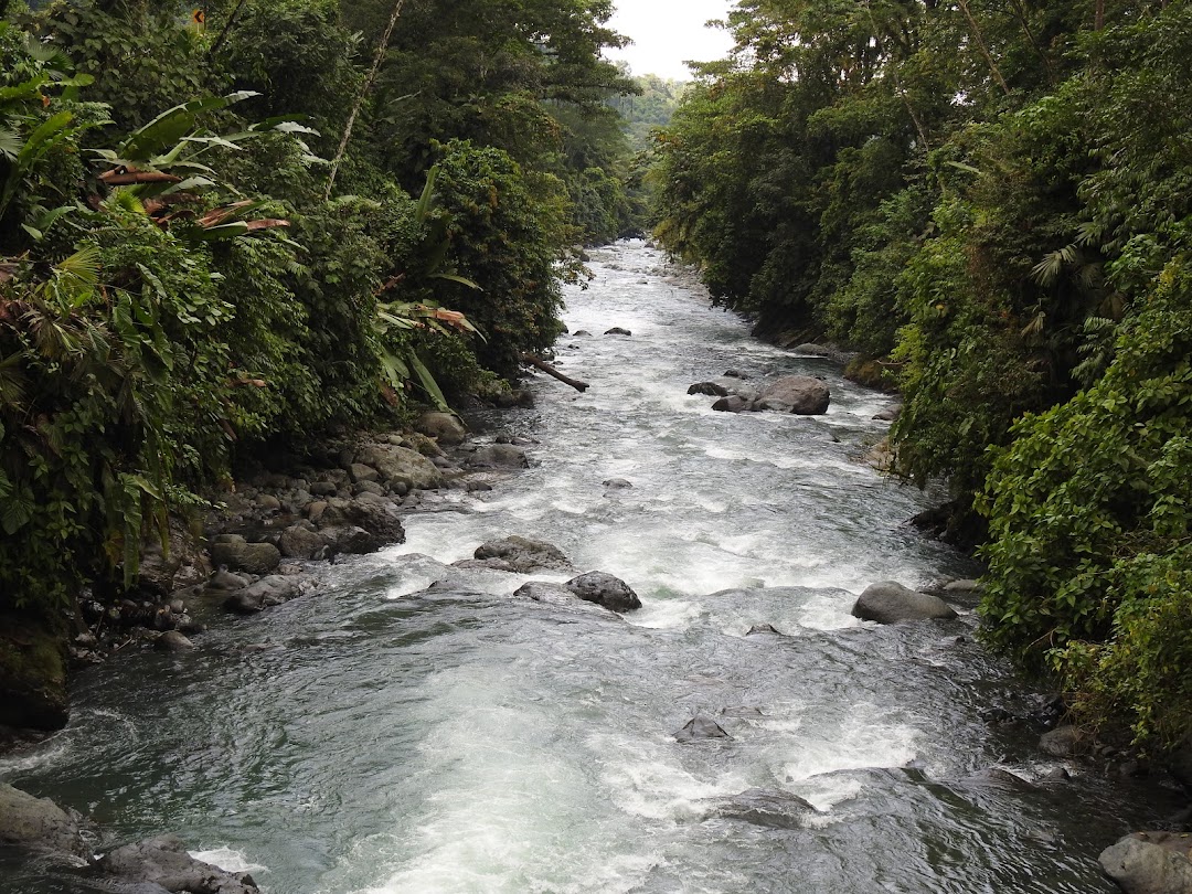 Río Tasidó