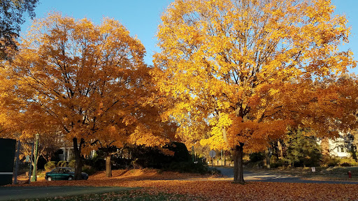 Park «Langford Park», reviews and photos, 30 Langford Park, St Paul, MN 55108, USA