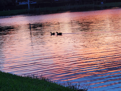 Park «Plantation Central Park», reviews and photos, 9151 NW 2nd St, Plantation, FL 33324, USA