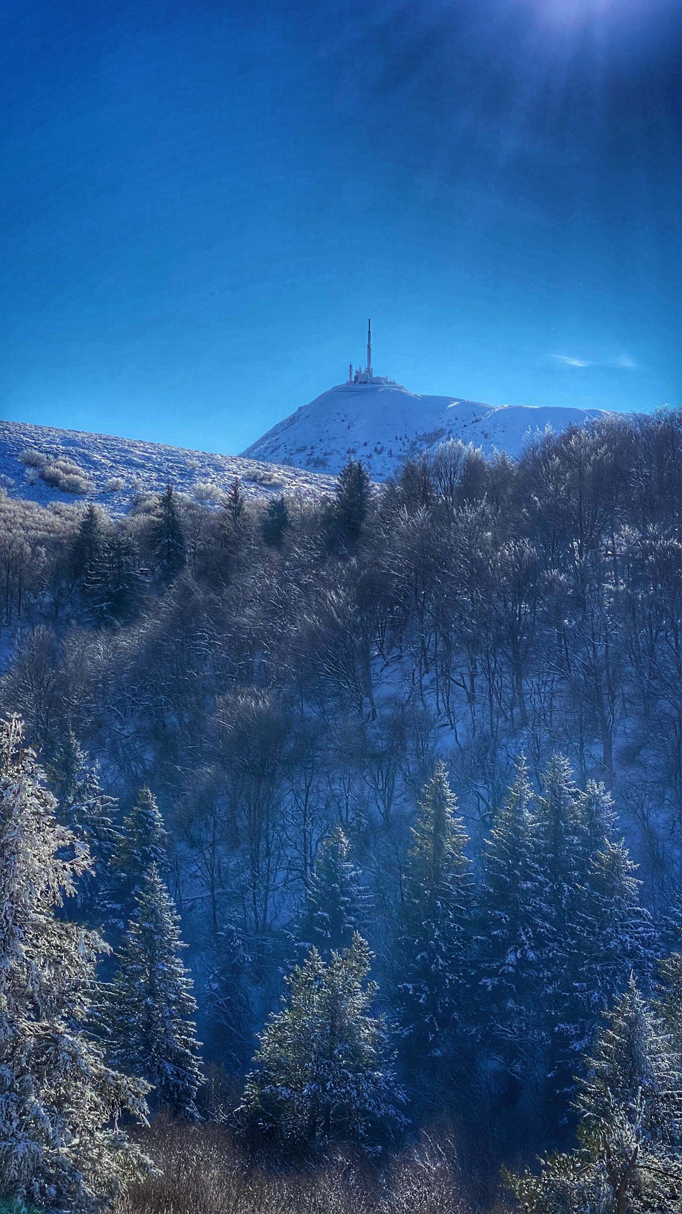 Photo n° 20 de l'avis de Michel.o fait le 12/01/2022 à 18:09