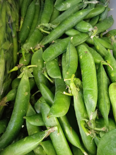 Indian Grocery Store «Apna Desh Grocery», reviews and photos, 109 E Hill Ave #107, Valdosta, GA 31601, USA