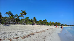 Varadero Plajı IV'in fotoğrafı çok temiz temizlik seviyesi ile