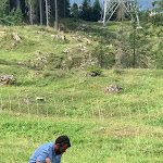 Photo n°5 de l'avis de Familie.c fait le 14/09/2023 à 08:28 sur le  Berggasthof Seealpe à Oberstdorf