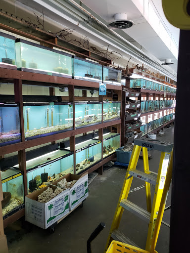 Pet Store «Forest Lake Pets», reviews and photos, 120 Lake St N, Forest Lake, MN 55025, USA