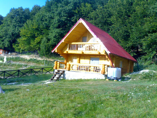 Monolit Log Homes - Firmă de construcții