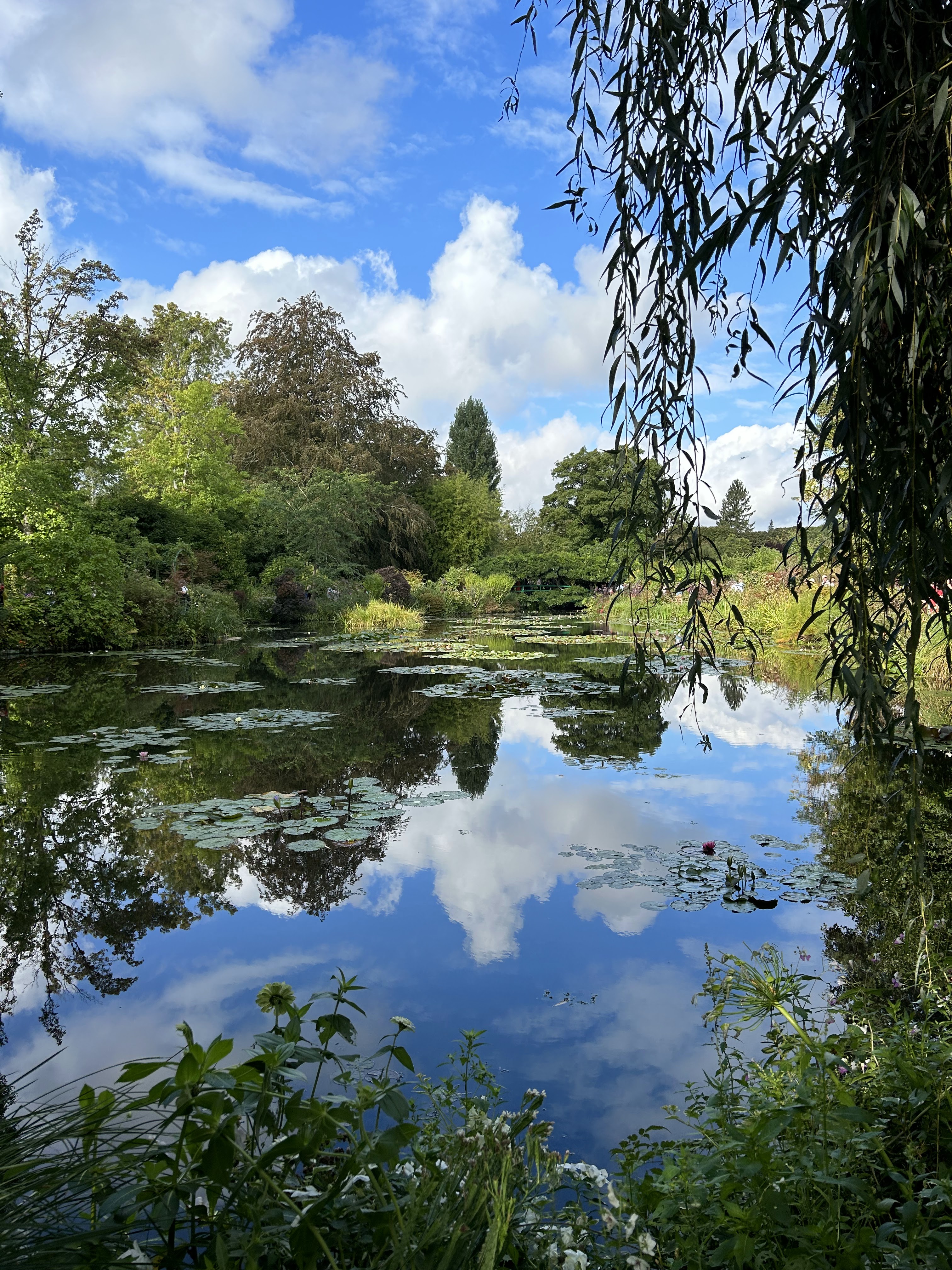 Photo n° 5 de l'avis de Yvonne.h fait le 20/09/2023 à 08:39