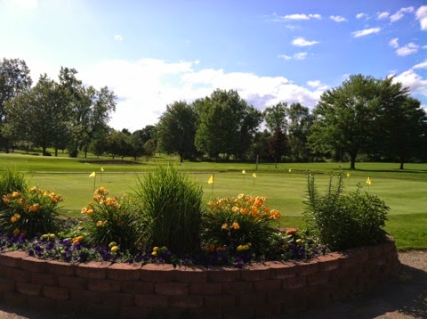 Golf Club «Twin Brooks Golf Course», reviews and photos, 1005 McKeighan Rd, Chesaning, MI 48616, USA