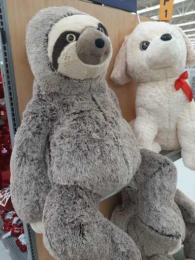 Department Store «Walmart Supercenter», reviews and photos, 263 Walmart Dr, Camden, DE 19934, USA