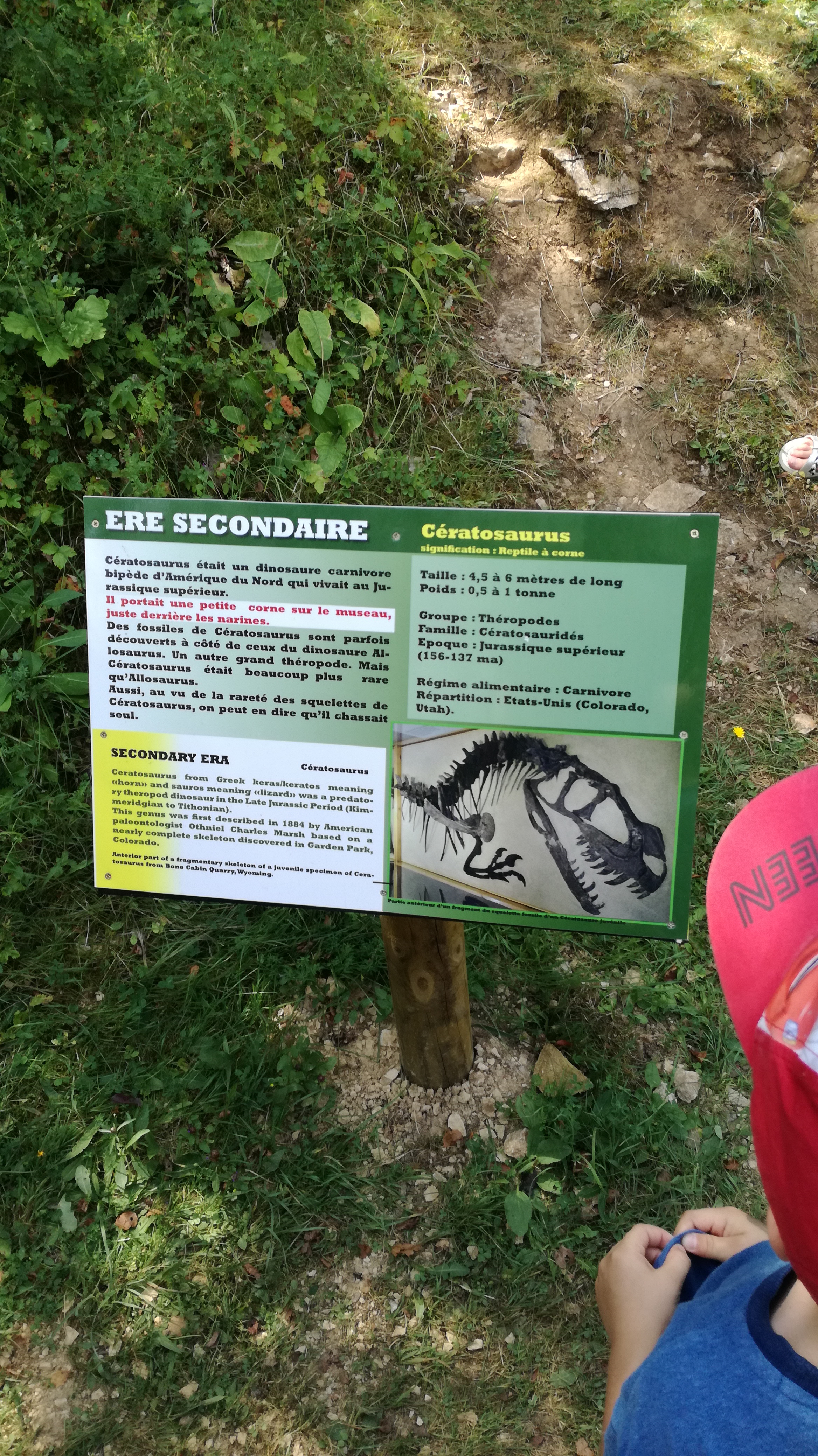 Photo n° 6 de l'avis de lhermenault.h fait le 19/07/2018 à 12:51