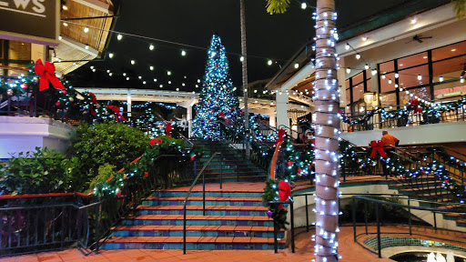 Performing Arts Theater «Au-Rene Theater at Broward Center For The Performing Arts», reviews and photos, 201 SW 5th Ave, Fort Lauderdale, FL 33312, USA