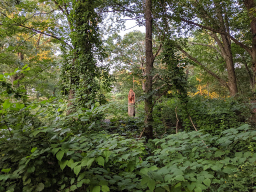 Golf Course «William J. Devine Golf Course at Franklin Park», reviews and photos, 1 Circuit Dr, Dorchester, MA 02121, USA