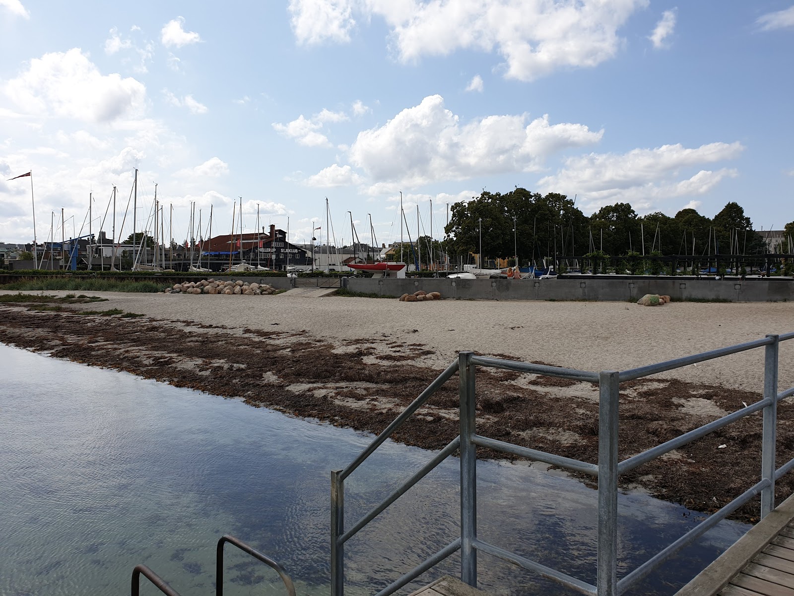 Hellerup Beach photo #7