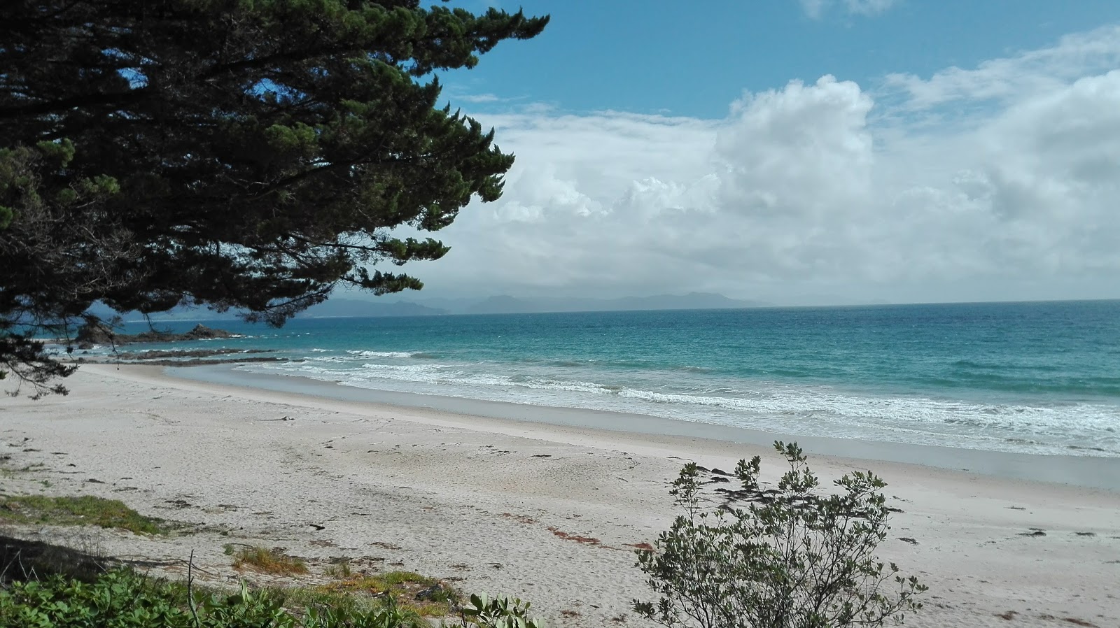 Kuaotunu Beach的照片 野外区域