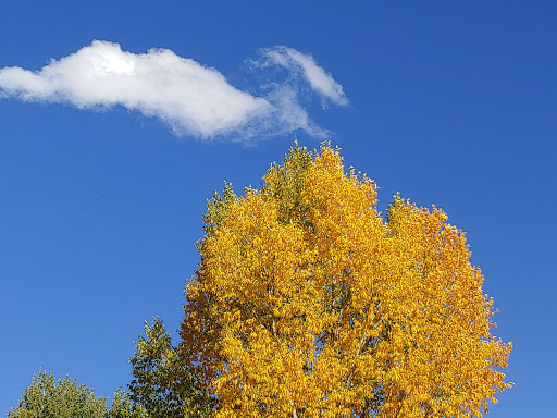 Golf Club «EagleVail Golf Club», reviews and photos, 459 Eagle Drive, Avon, CO 81620, USA