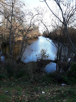 Duck Pond - photo 2