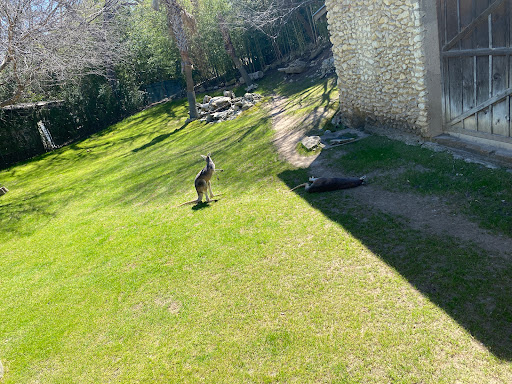 Aquarium «The Dallas World Aquarium», reviews and photos, 1801 N Griffin St, Dallas, TX 75202, USA